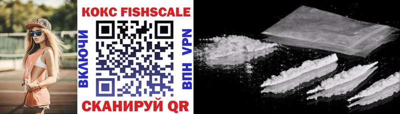 Cocaine Fish Scale  darknet наркотические препараты  Юрюзань 