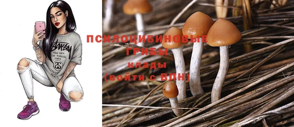 мдпв Балабаново